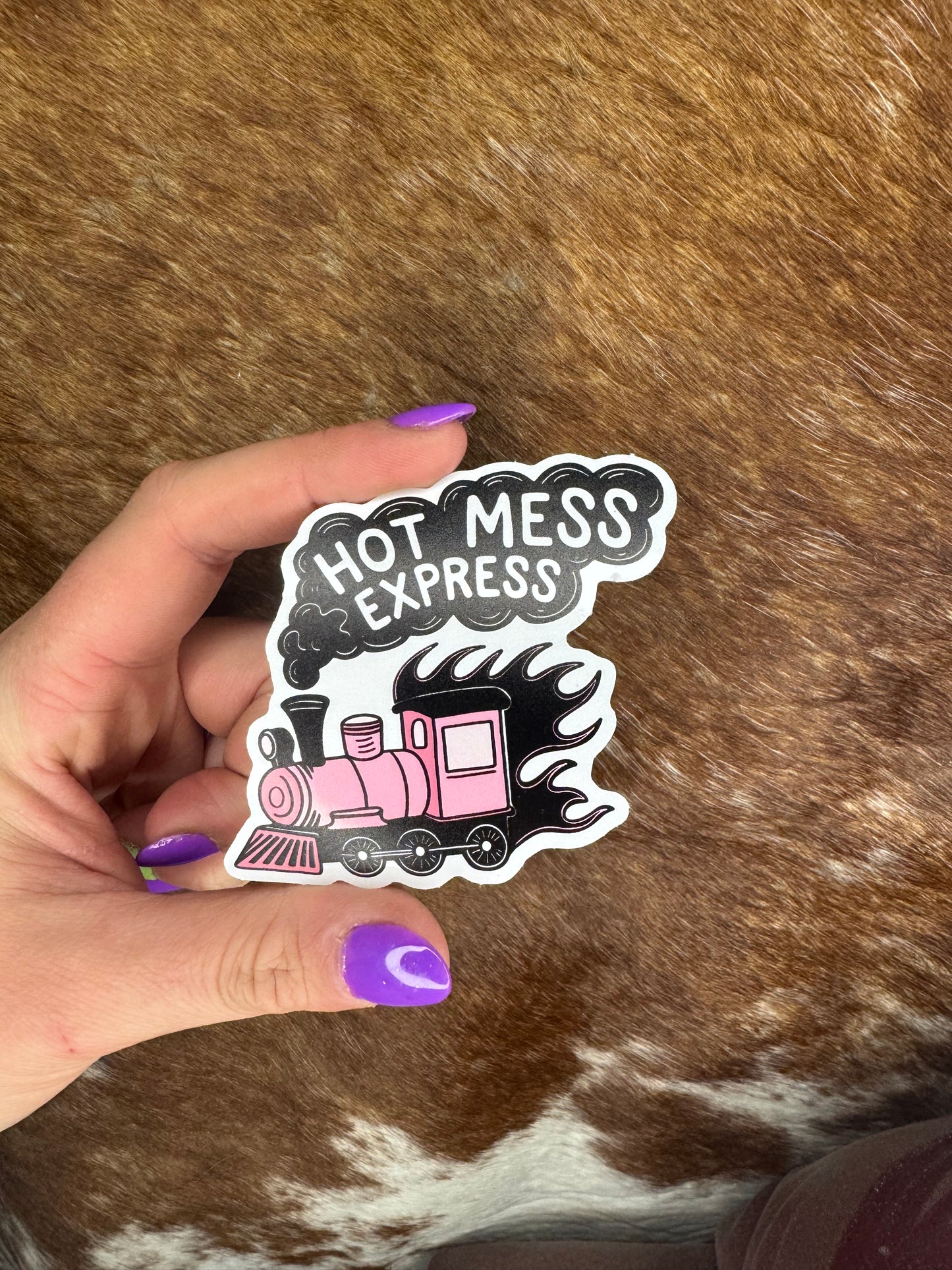 Hot Mess Express Sticker