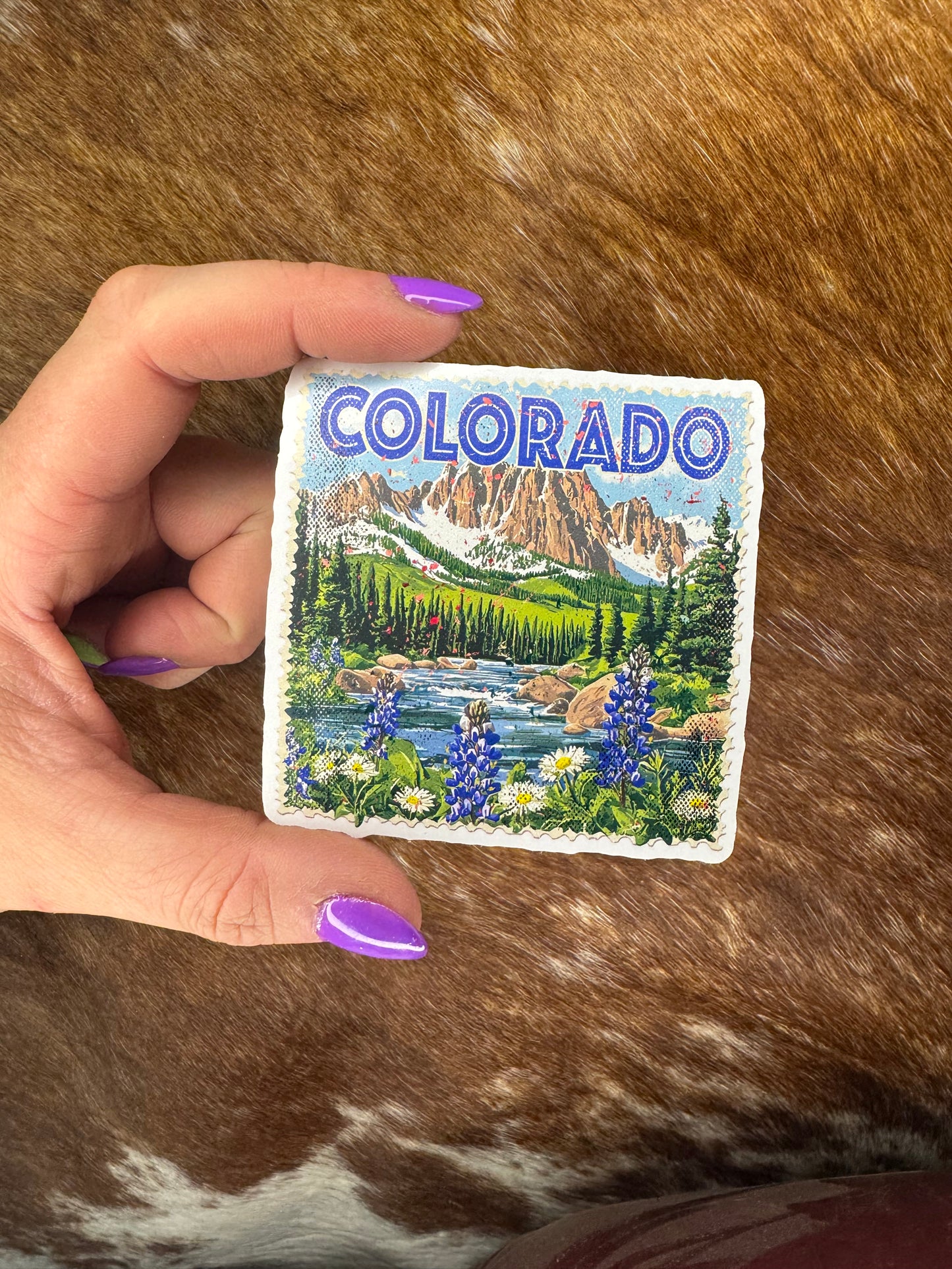 Colorado Stamp Sticker