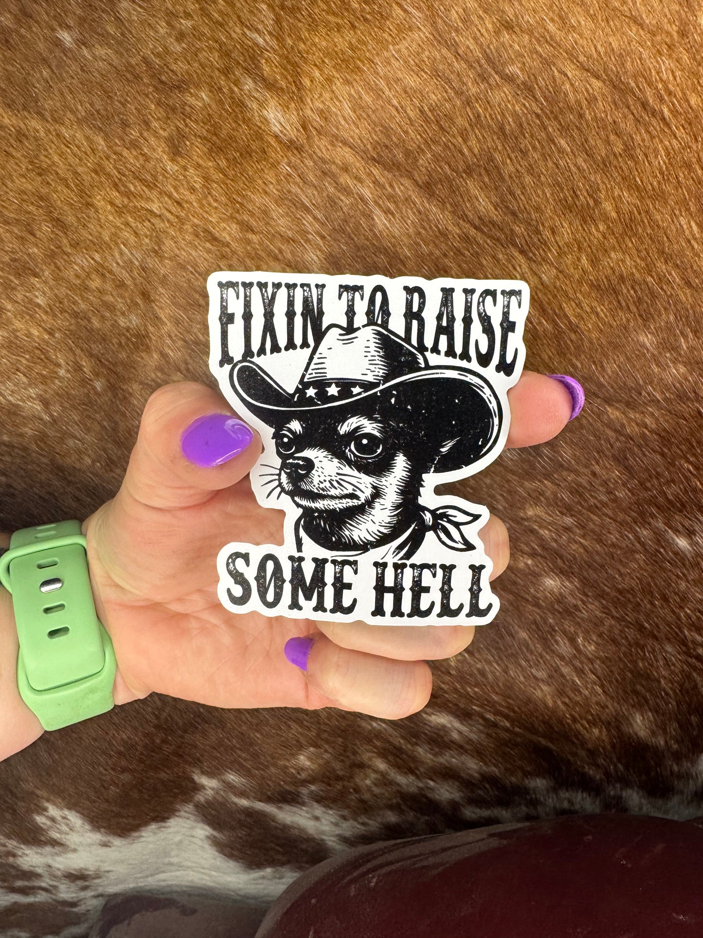 Raise Some Hell Sticker
