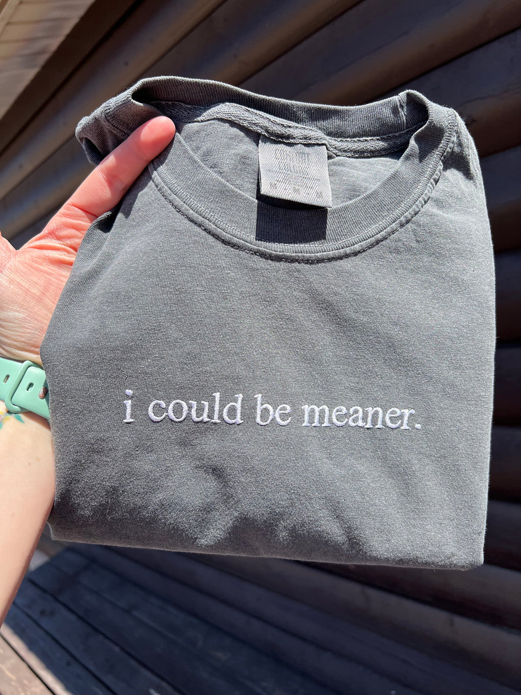 I Could Be Meaner Embroidered Tee