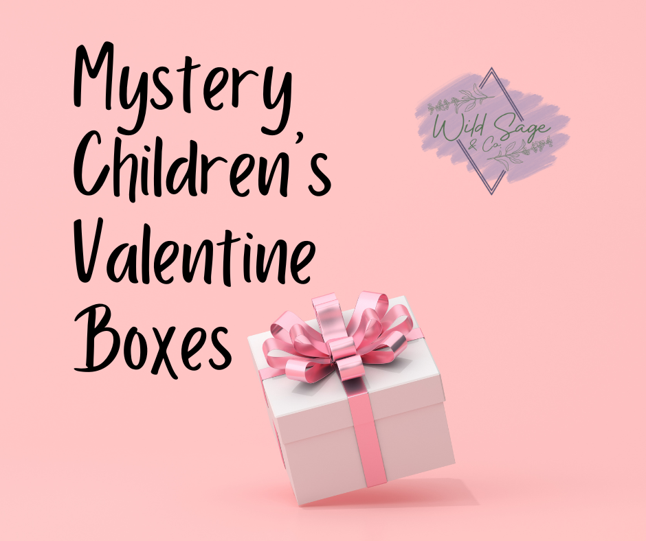 MYSTERY CHILDREN'S VALENTINE'S DAY BOX