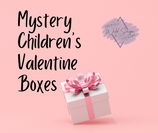 MYSTERY CHILDREN'S VALENTINE'S DAY BOX